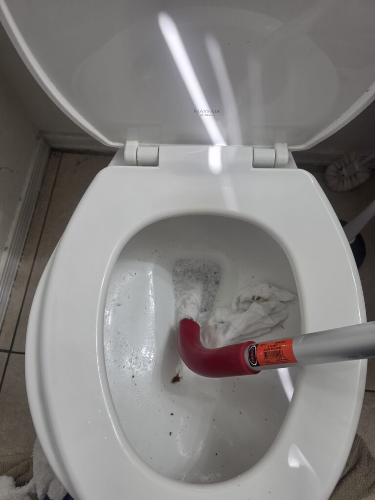Toilet clog - Gilbert, Arizona