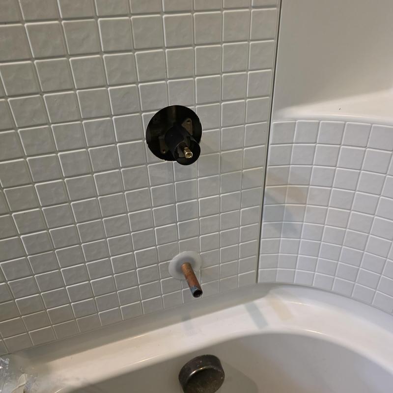 Tubshower cartridge and trim removal in bathtub wall