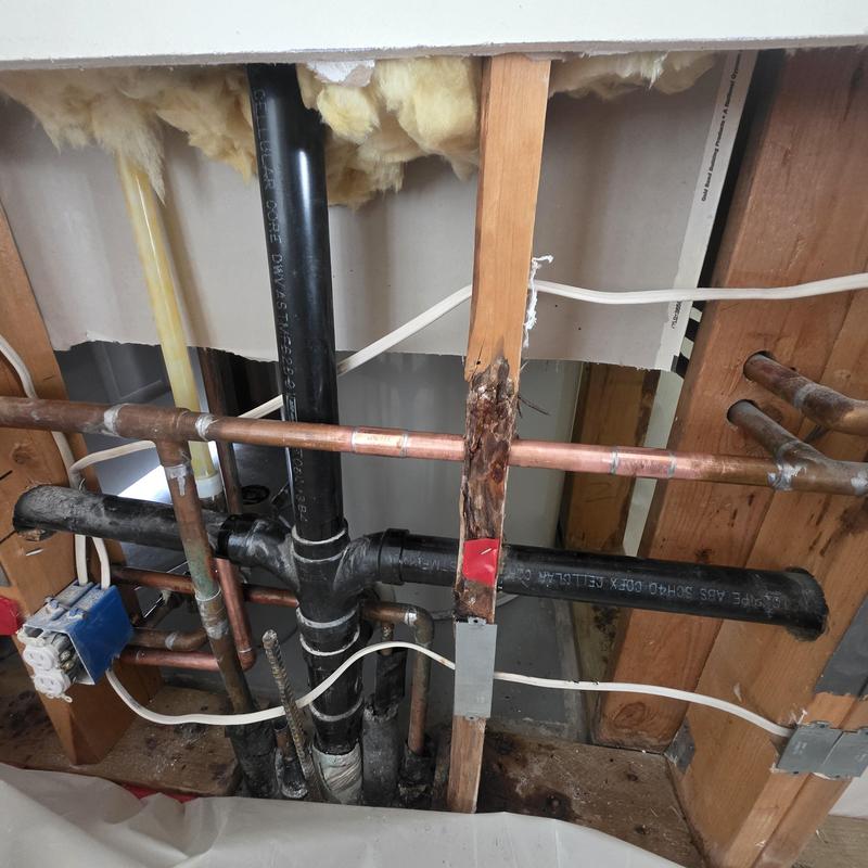 Copper piping with water damage on wood framing in wall cavity